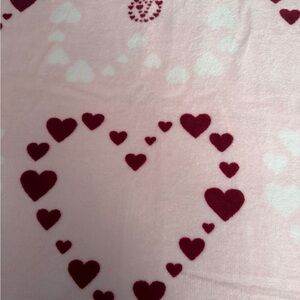 Victoria's Secret Pink Label Cozy Throw